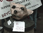 [PICTURE-dog head]